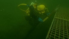 Tauchlehrer Längsee